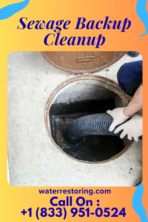 Sewage Backup Cleanup in Frankton, IN