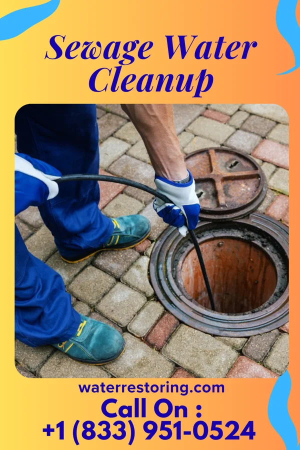 Sewage Water Cleanup in Frankton, IN